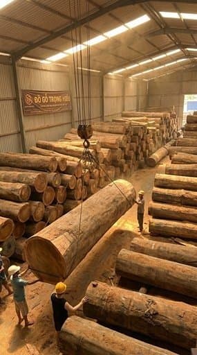 Kho gỗ quý
